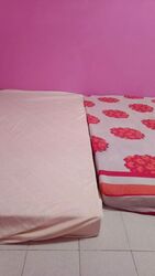 Blk 444 Tampines Street 42 (Tampines), HDB 3 Rooms #503898521